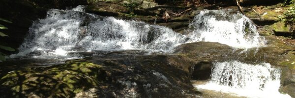 BurritoBinger Profile Banner