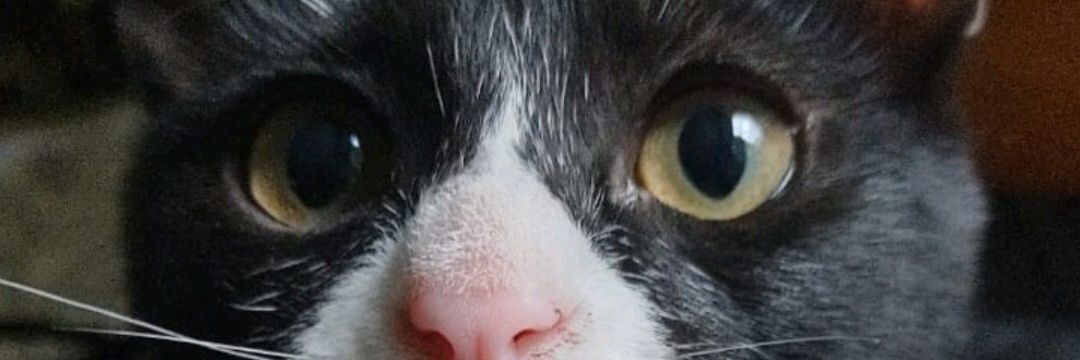 Amall89's profile banner image