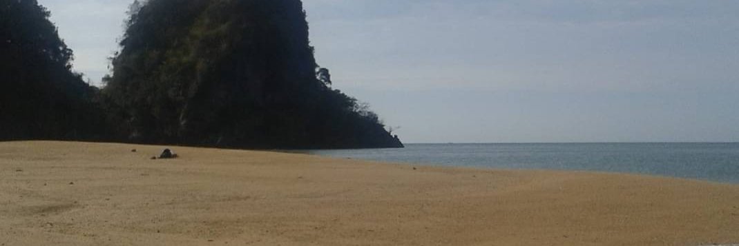 kasiaffm's profile banner image