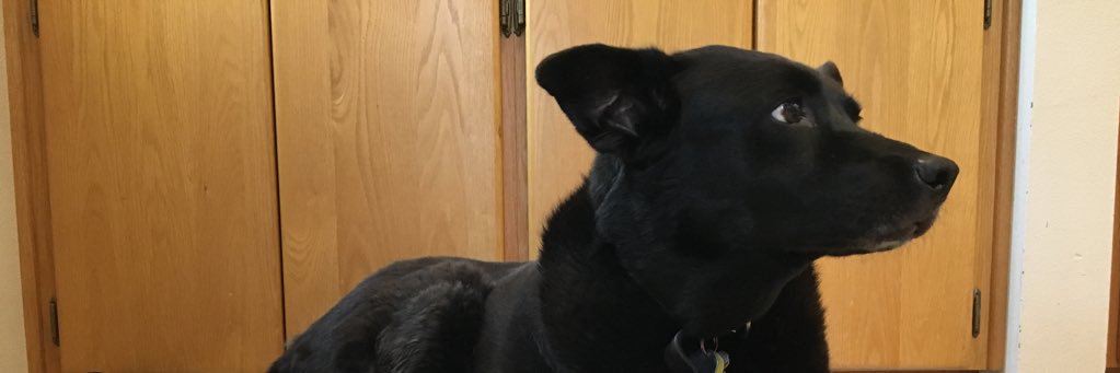 shitfentonsays's profile banner image