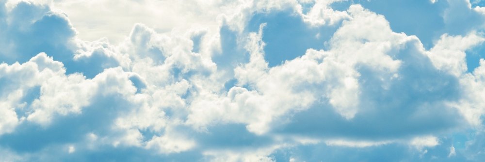 mandy_delgado's profile banner image