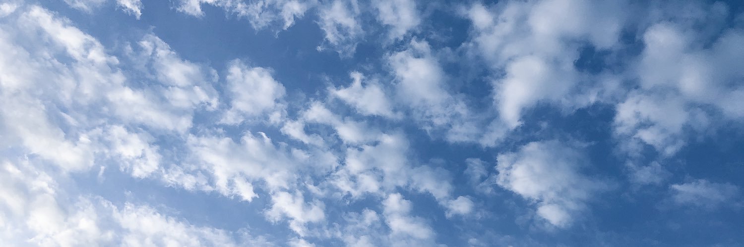 T8731's profile banner image