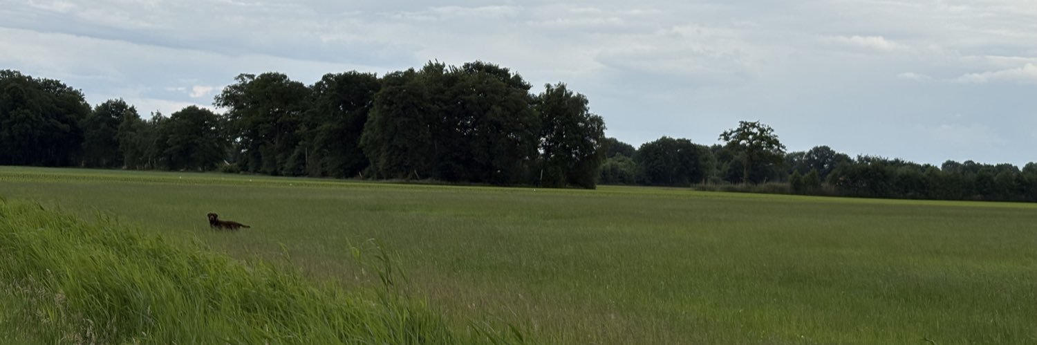 RobAagten's profile banner image