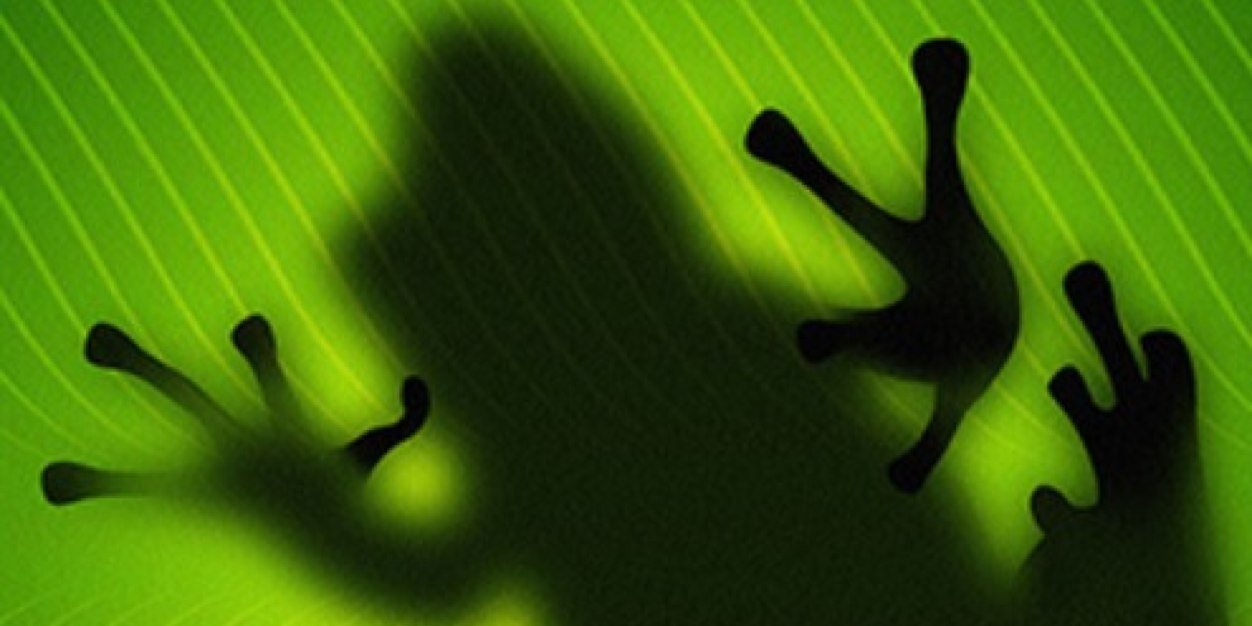 melisaemirbayer's profile banner image