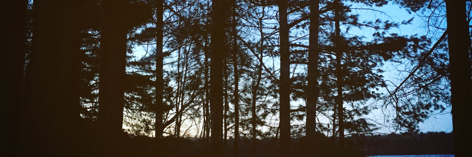 Rachel Cusatis banner