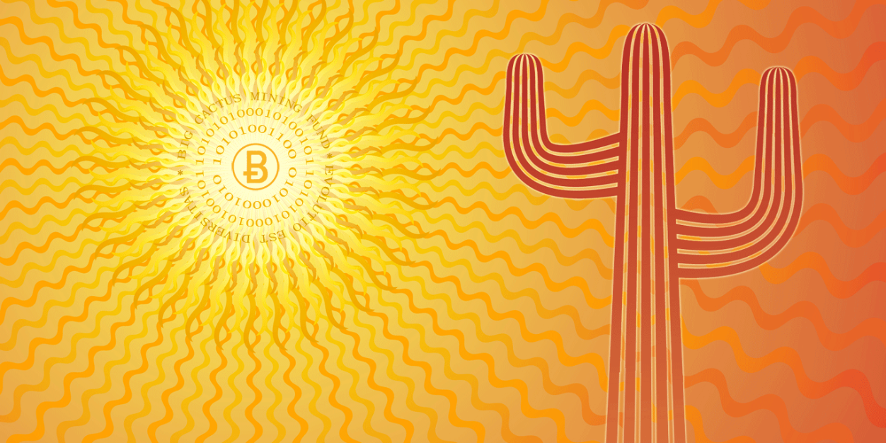 BitCactus's profile banner image