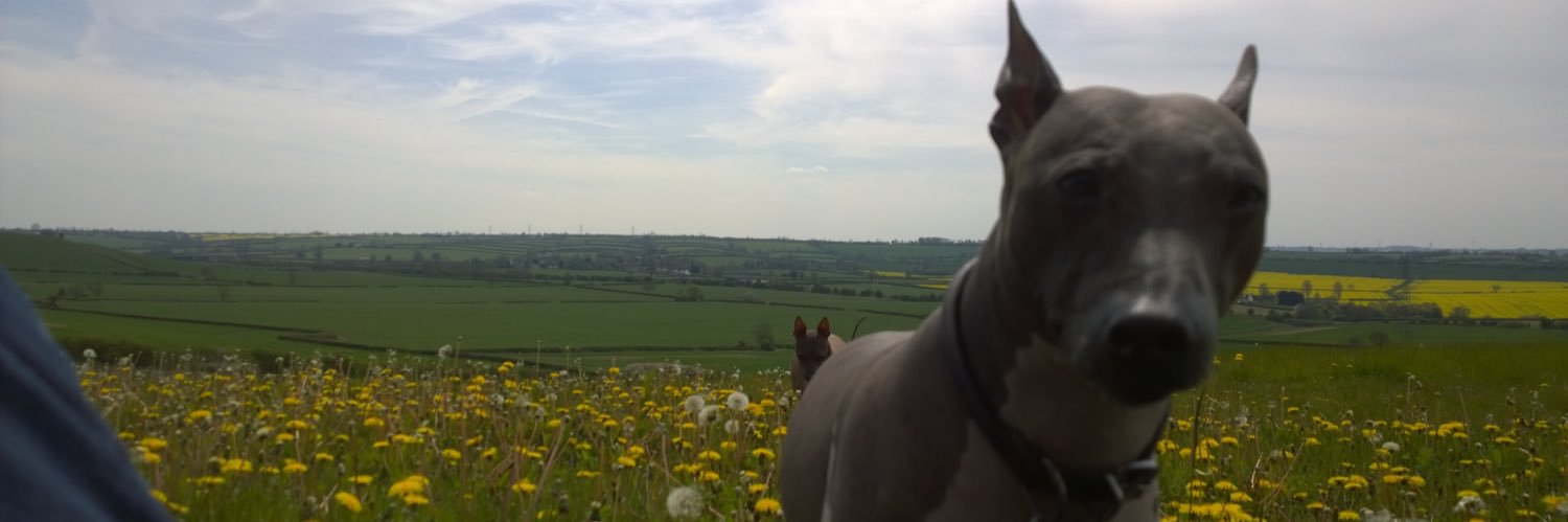 Bodewell7's profile banner image