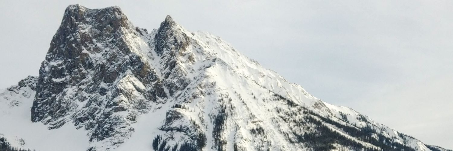 Wally_Wallerson's profile banner image