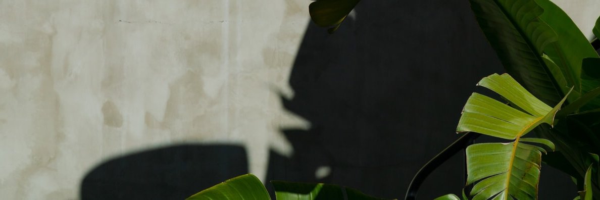 tilosiewert's profile banner image