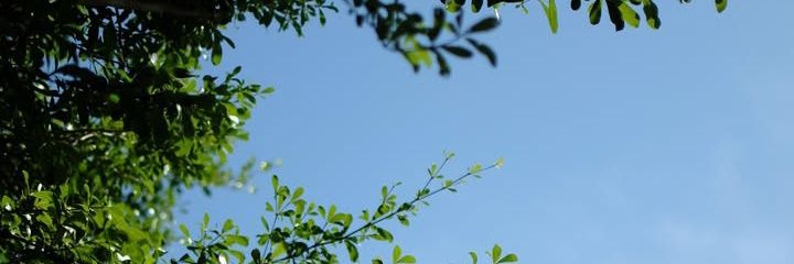 rtnayus's profile banner image