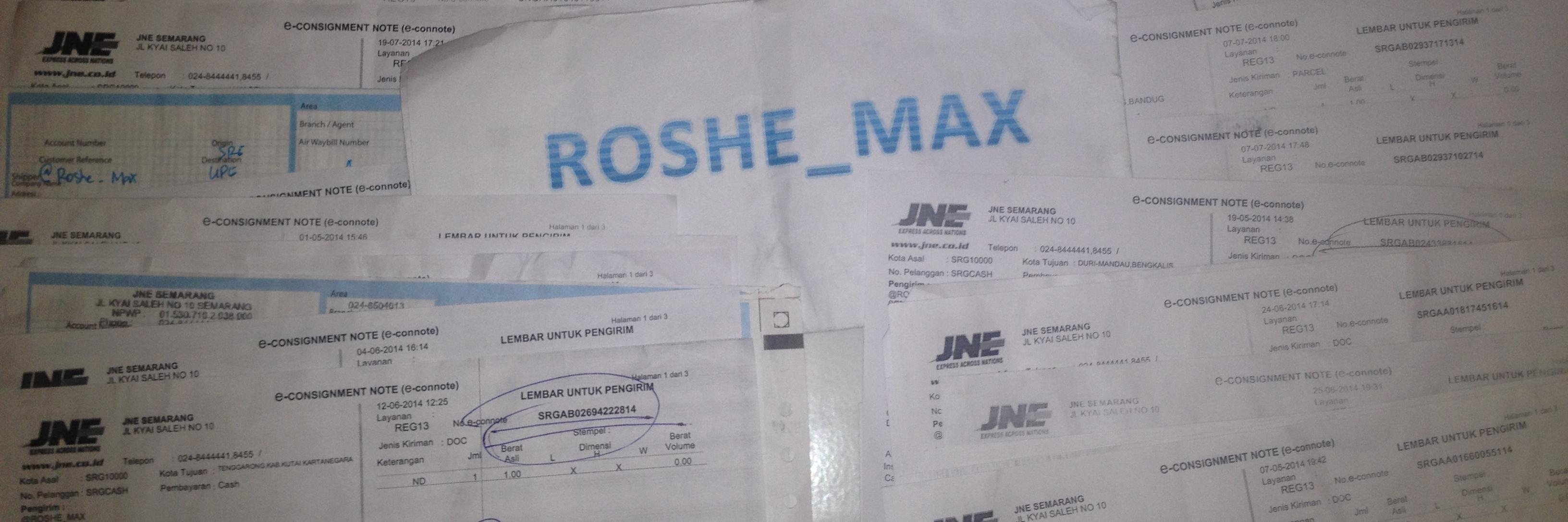 Nike Roshe Max banner