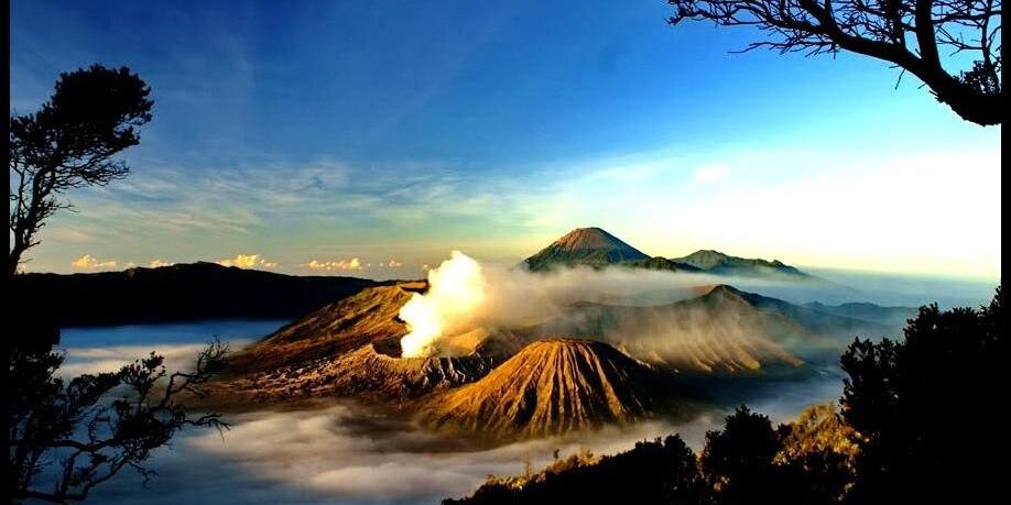 Young teacher♥ banner