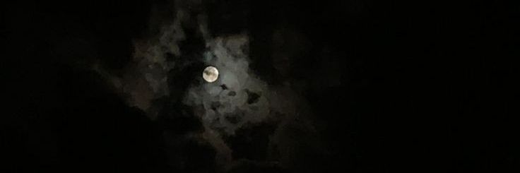 fionunez08's profile banner image