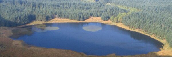 DaiStarr Profile Banner