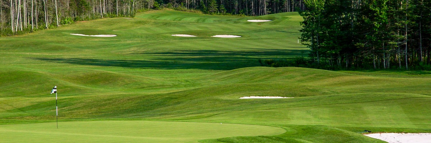 Avondale Golf Course banner