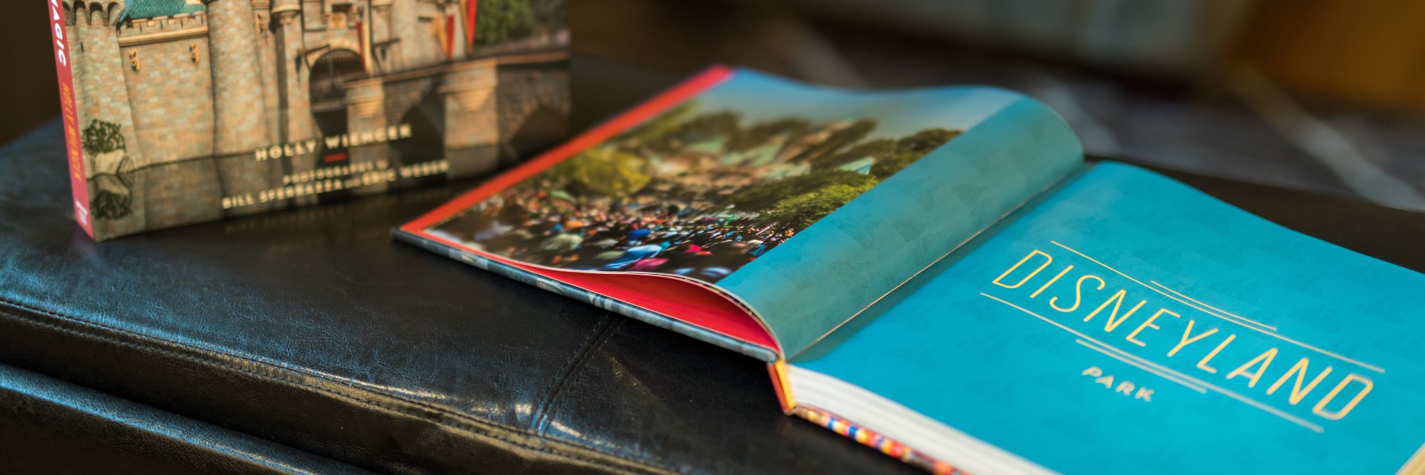 _capturingmagic's profile banner image