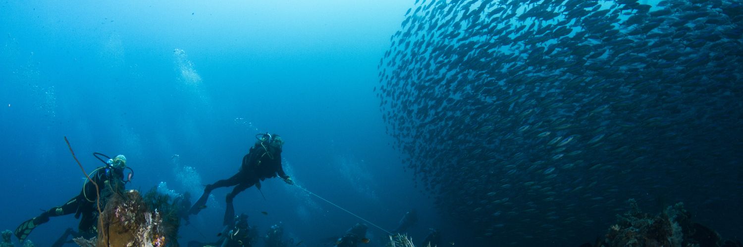 Fernando Aragonés/❤️ banner