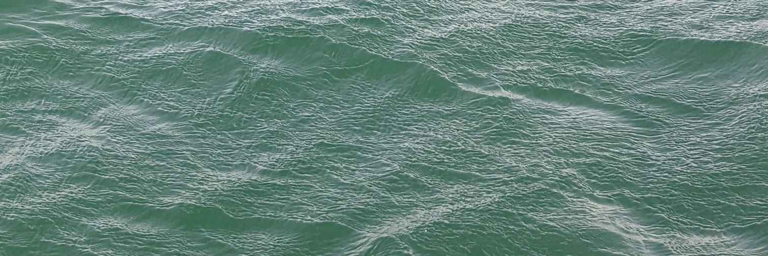 Sutuitea's profile banner image