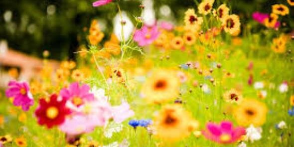 The Home Depot #3805 banner