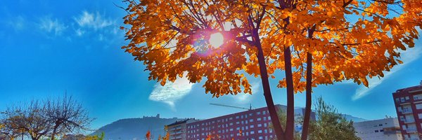 albertora81 Profile Banner
