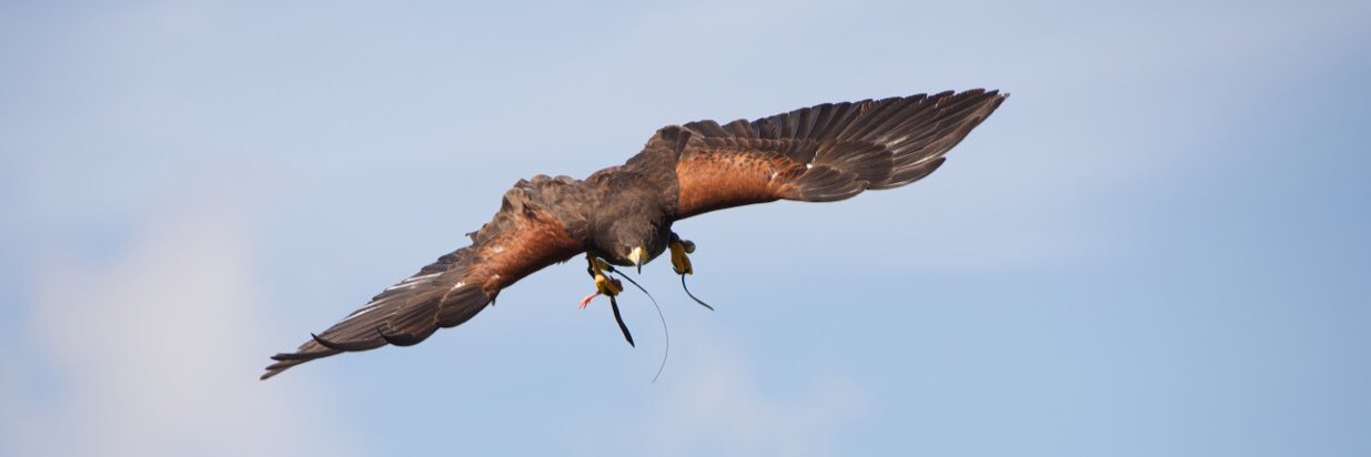 HawkingAbout's profile banner image