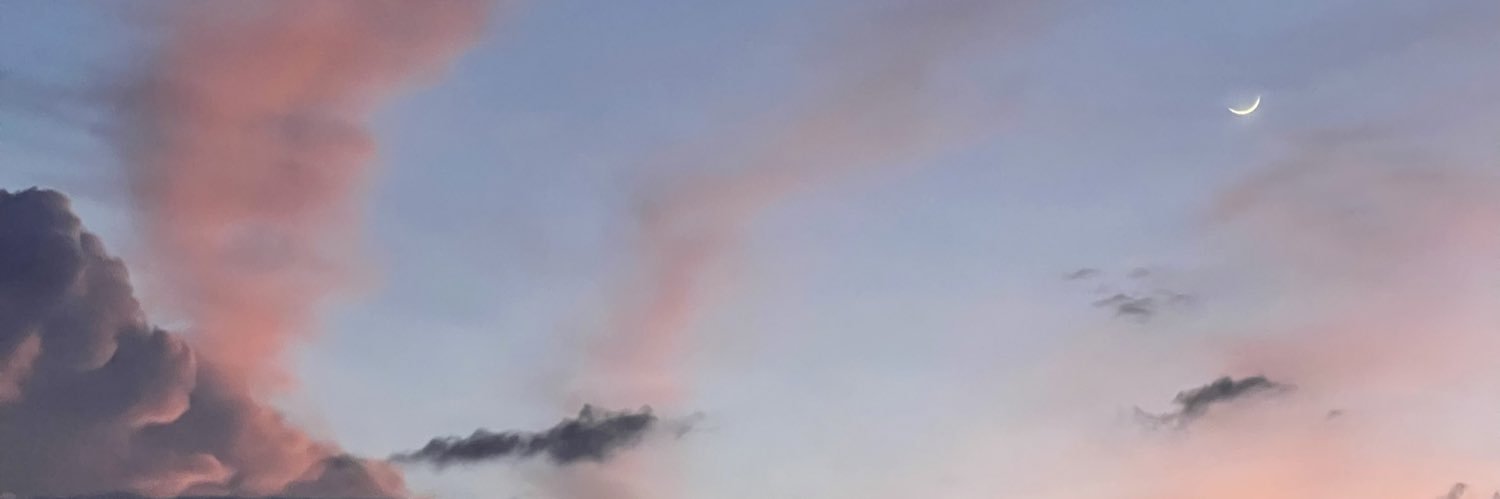 bu_chik's profile banner image