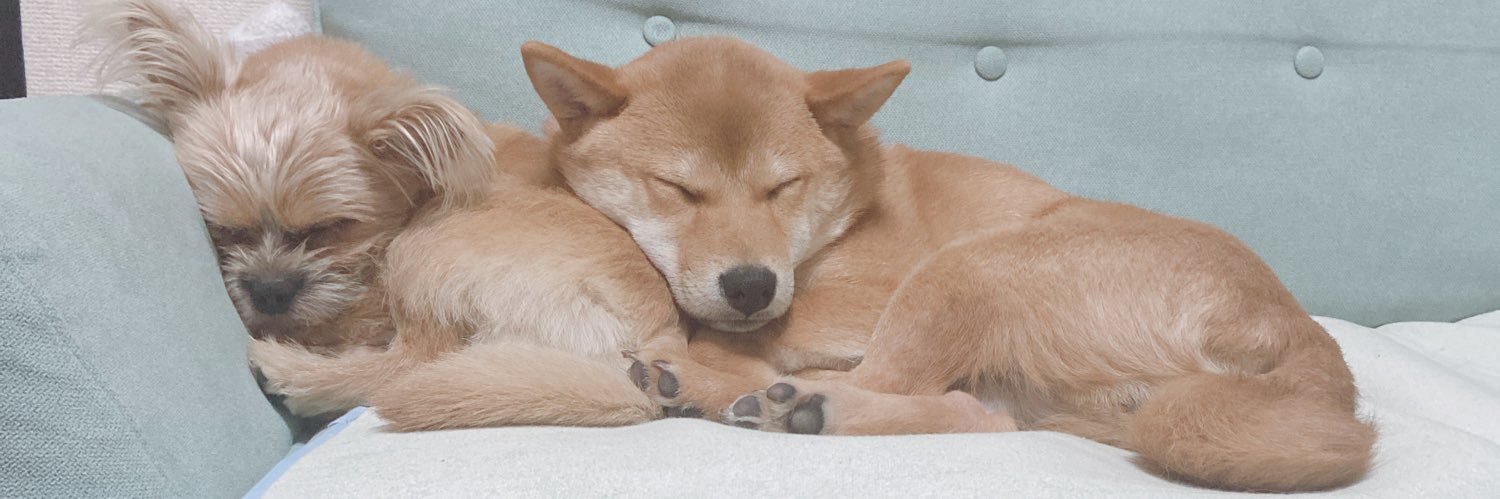 すでに8キロ痩せたあやちん🐣 banner