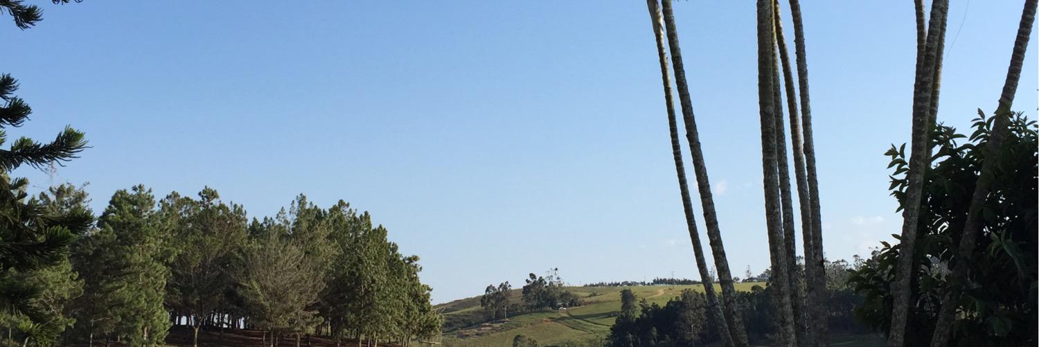 jasolanog42's profile banner image