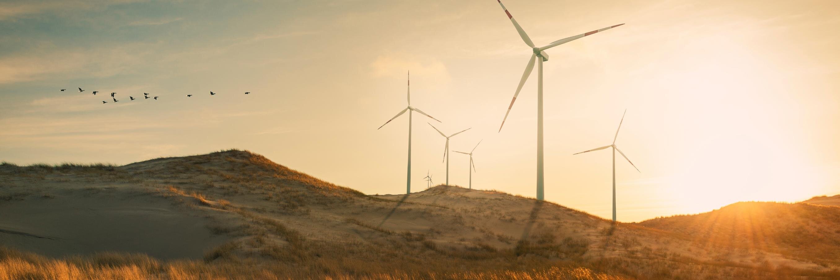 Windtexengltd's profile banner image