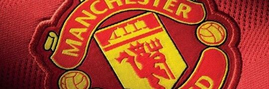 Lewis Gonzalves banner