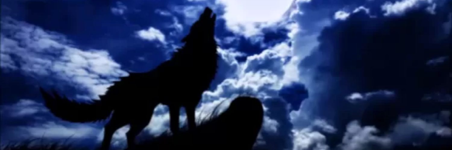 WolfAlpha banner
