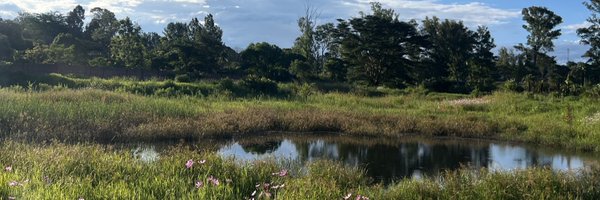 NickyRusmith Profile Banner