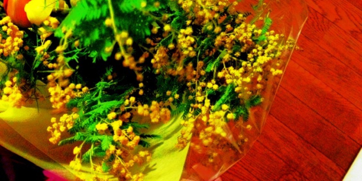 kaze_mimoza's profile banner image