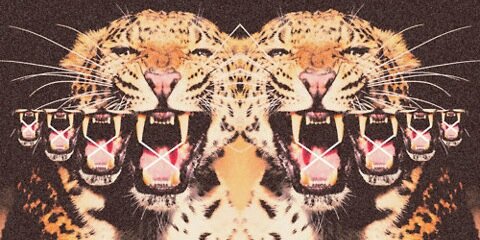Tricksten's profile banner image