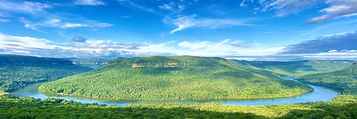 Bridgett Massengill banner