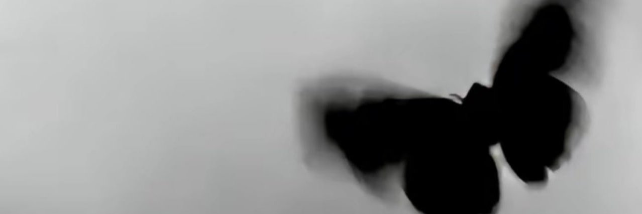 Anne_dc18's profile banner image