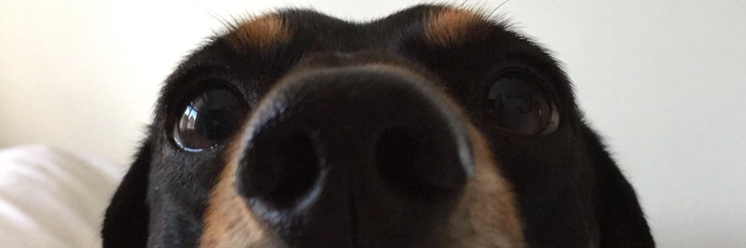 emcrisp_'s profile banner image
