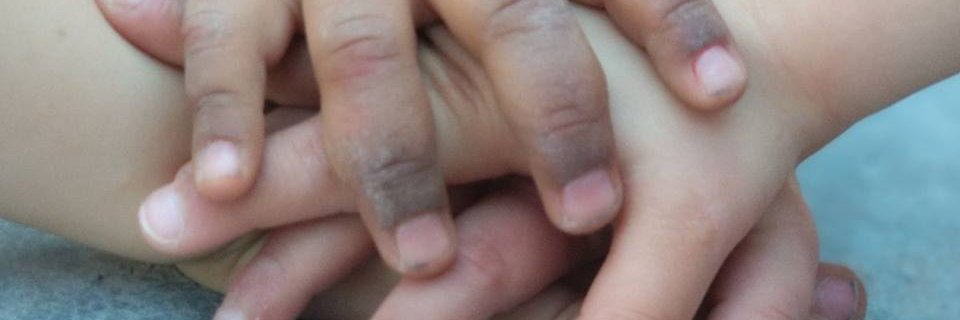 Plataforma 06 banner