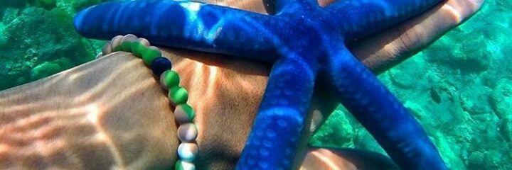 alebautistaa's profile banner image