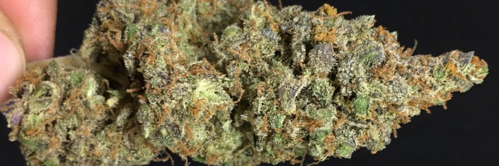 TheKushCorner's profile banner image