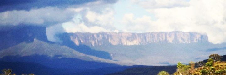 TavoVeg's profile banner image