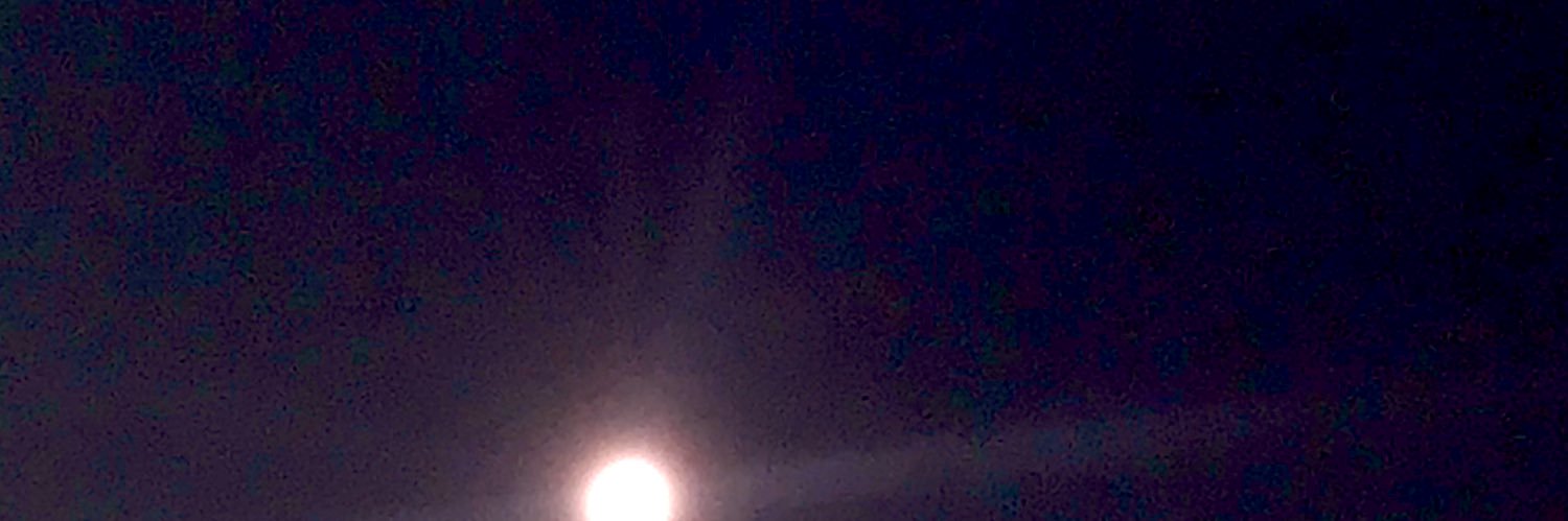 rouseywade's profile banner image