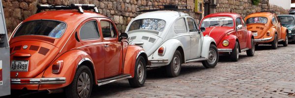 Beetle_Joyce Profile Banner