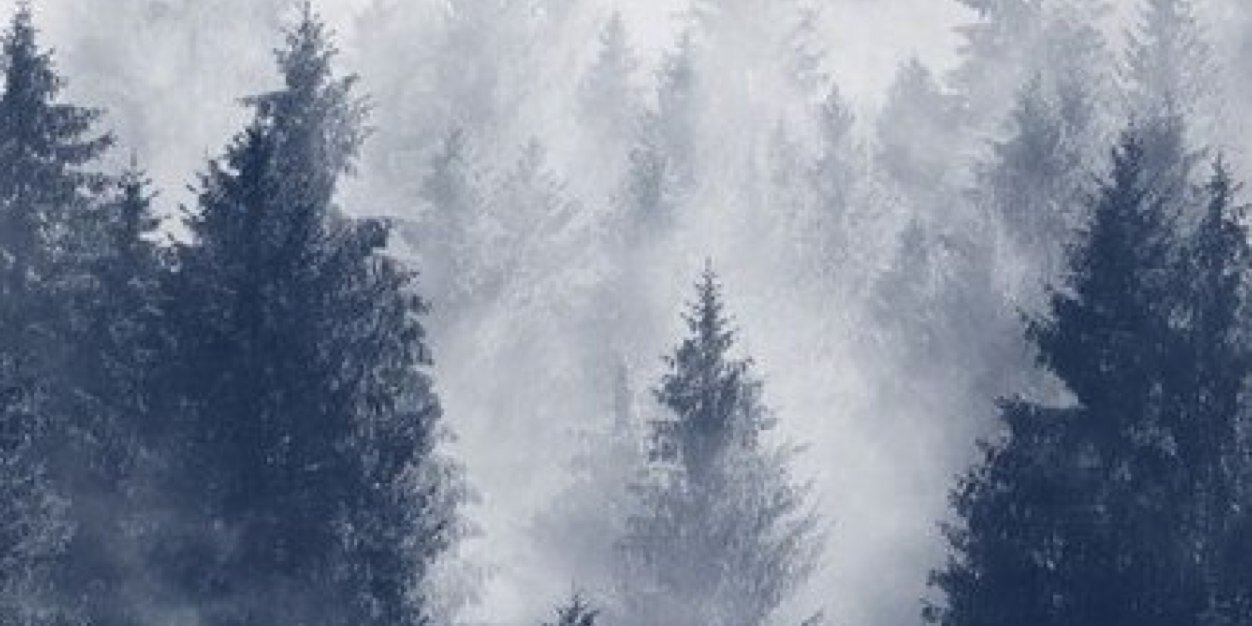 olyab7's profile banner image