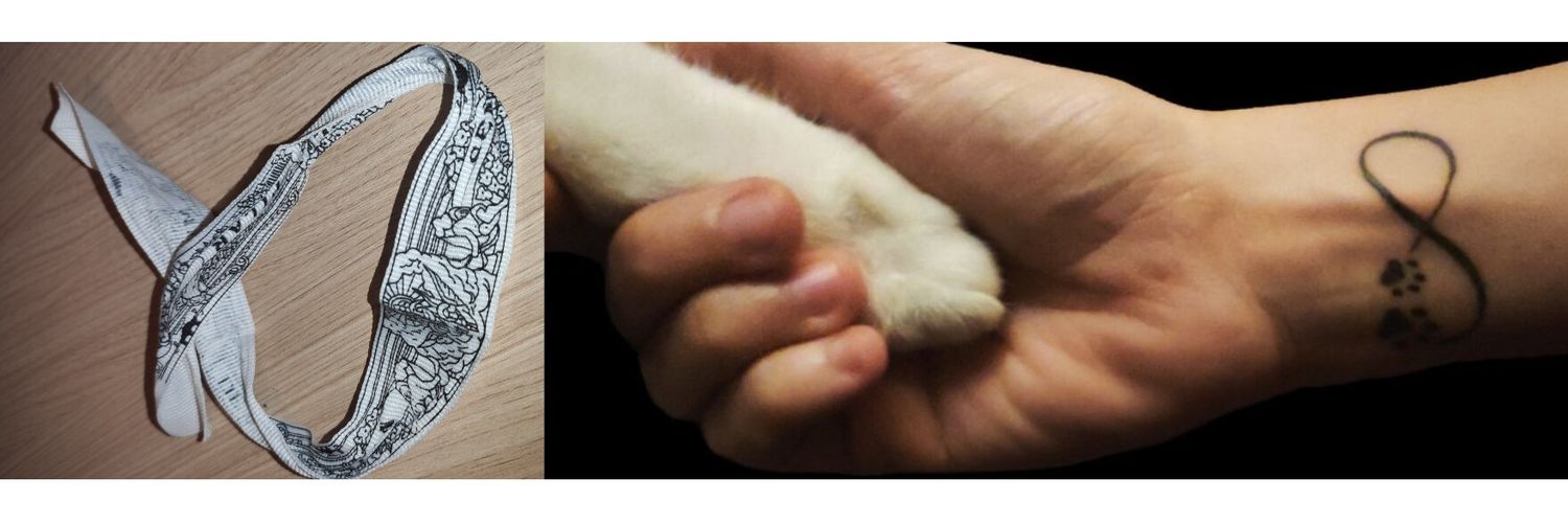 ꫀꪜꪖ ⌁☍🐾 banner