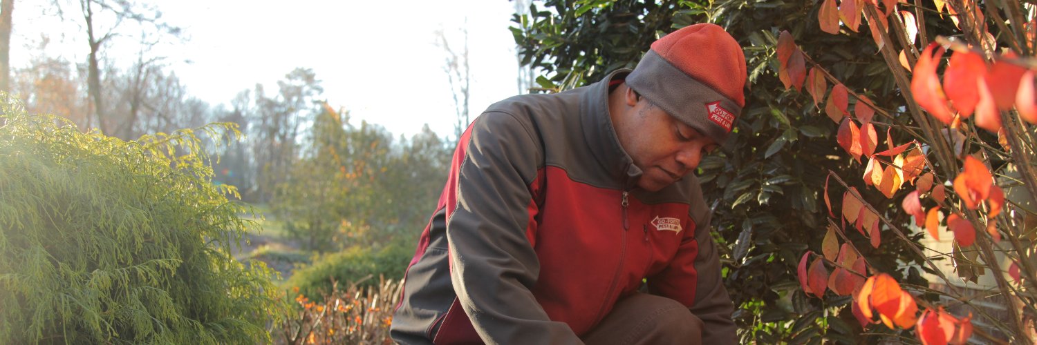 Go-Forth Pest Control banner