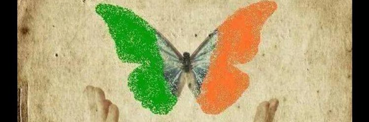 DD 🦋💙 banner
