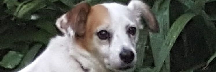 IanIanmac1949's profile banner image