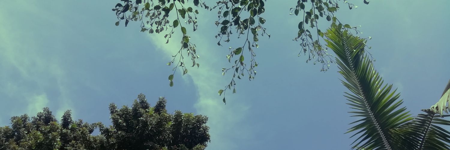 Bordersweet's profile banner image