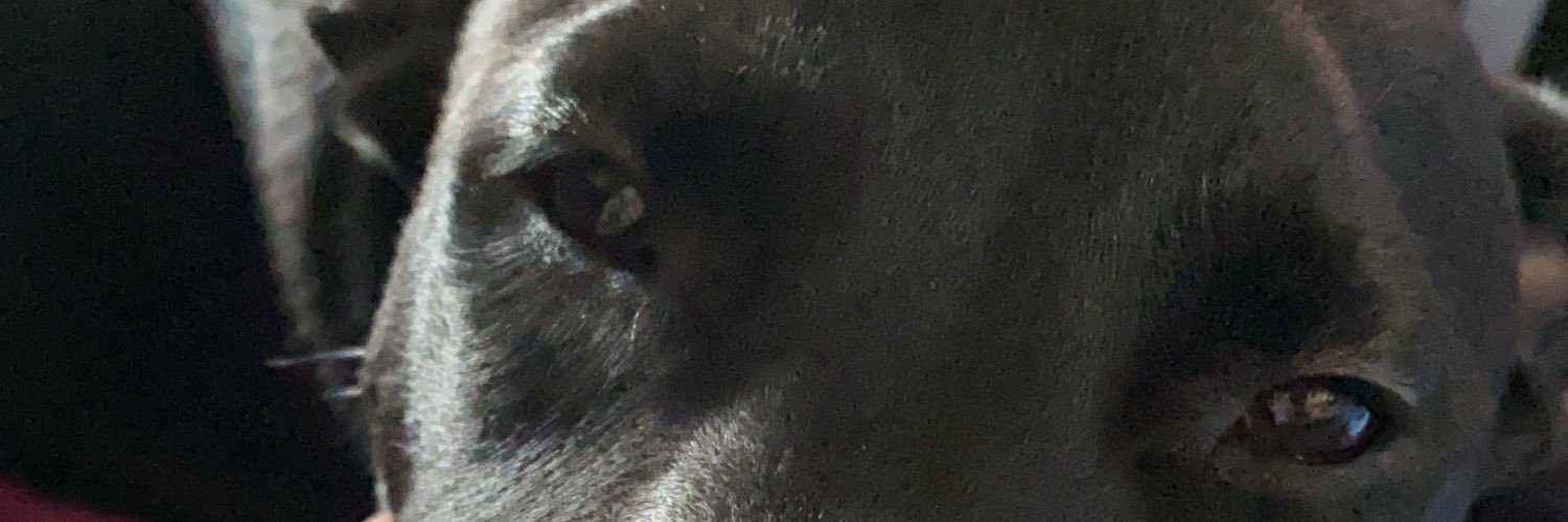 Gabs banner
